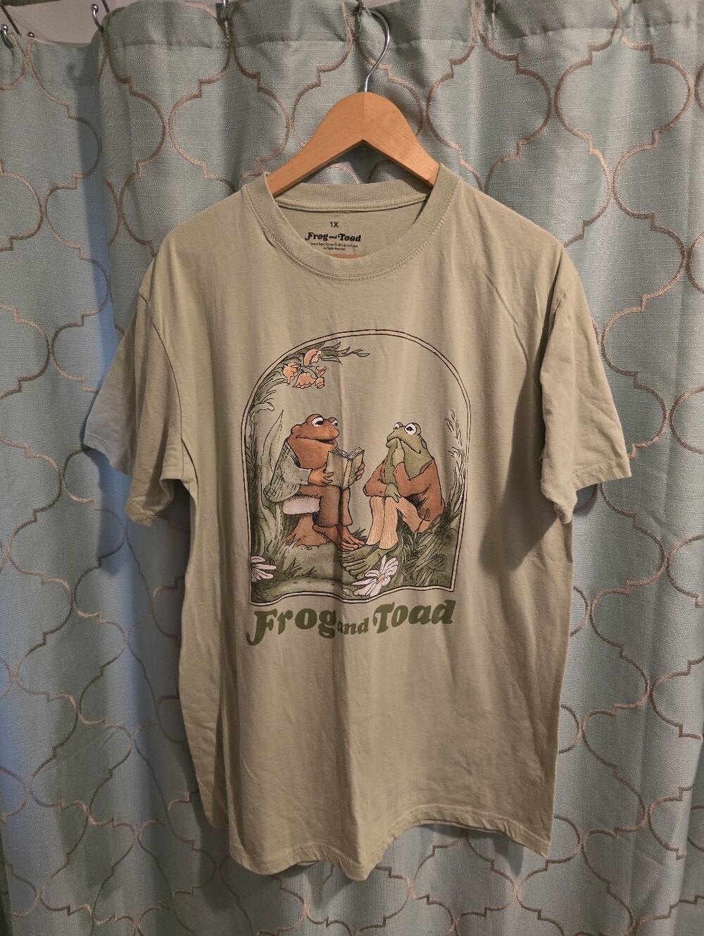 Frog and Toad Together 1972 Men's 1X Graphic Tee Aenold Lobel NWOT Light Green